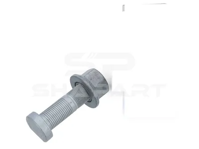 10.10091 Wheel bolt, complete