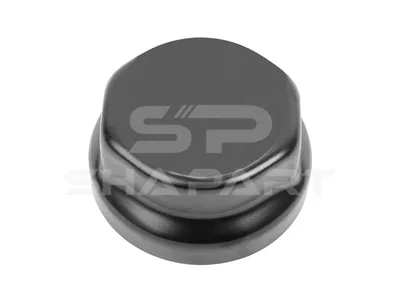 10.10609 Hub cover, M125 x 2, SW: 110