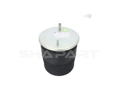 10.16031 Air spring