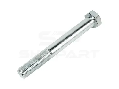 10.16220 Screw, M20, L: 160 mm, 8.8