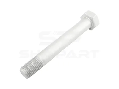 10.16255 Spring bolt, M30 x 3, LTh: 45 mm, Lu: 210 mm, SW: 46, 8.8