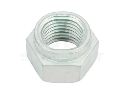10.16335 Nut, M22 x 2,5, SW: 32, 10