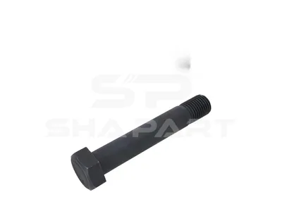 10.16377 Screw, M38,5 x 4, Lu: 215 mm, SW: 55, L: 237.5 mm, 8.8