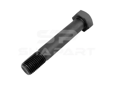 10.17080 Screw, M30 x 3,5, LTh: 45 mm, Lu: 170 mm, SW: 46, 8.8