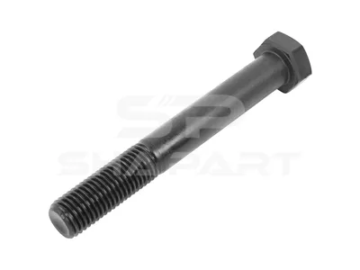 10.17290 Screw, M20, Lu: 150 mm, SW: 30, 8.8