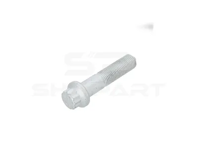 10.34241 Screw