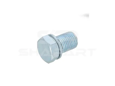11.10047 Oil drain plug, M14 x 1,5, SW: 19