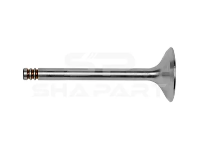 11.10551 Intake valve, D1: 8 mm, D2: 36 mm, L: 96.9 mm, α: 45 °