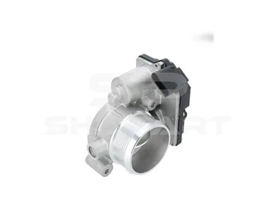 11.19050 Throttle