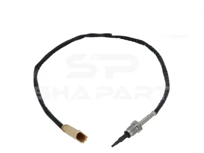 11.80701 Exhaust gas temperature sensor