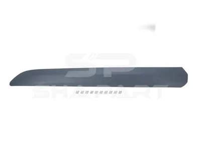 12.00061 Cover moulding, door, front, left