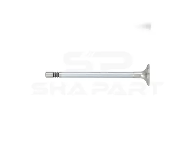 13.00206 Exhaust valve