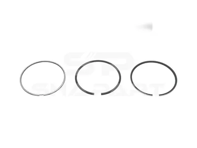 13.00209 Piston ring kit