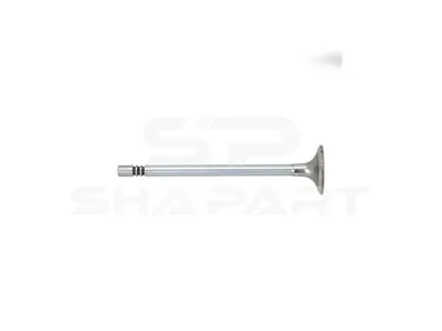 13.00210 Intake valve