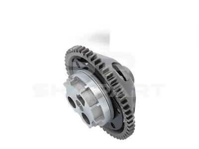 13.41051 Oil pump