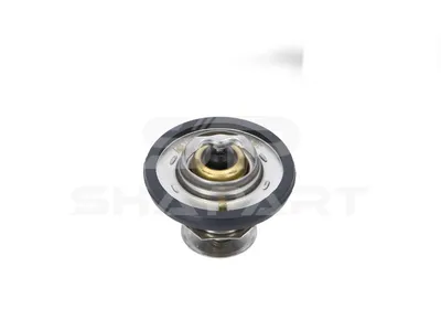 13.42075 Thermostat, with gaskets, 88 °C