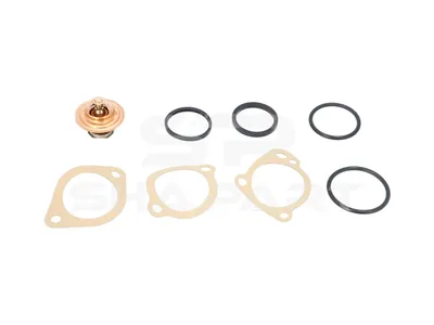 13.42081 Thermostat, with gasket