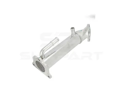 13.42111 Exhaust gas recirculation module