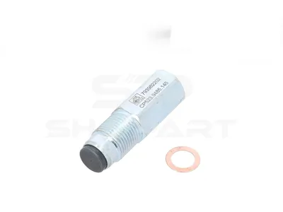 13.43145 Pressure limiting valve