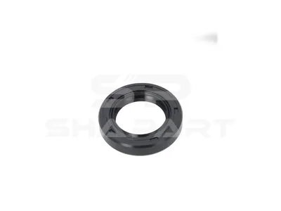 15.00191 Oil seal