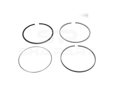 15.00204 Piston ring kit