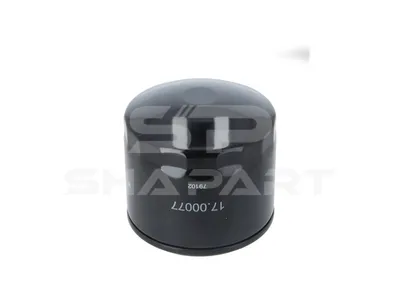 17.00077 Oil filter