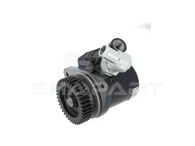 19.00042 Servo pump