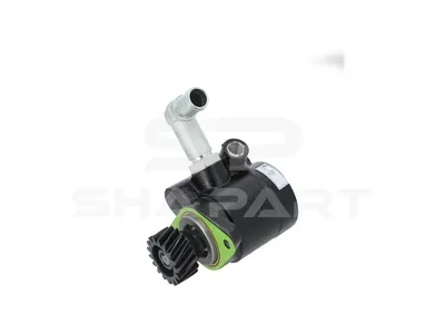 19.00043 Servo pump