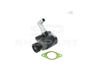 19.00044 Servo pump