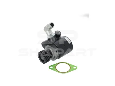19.00045 Servo pump