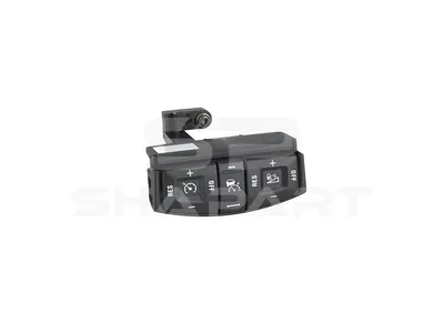 1.00061 Control panel, steering wheel