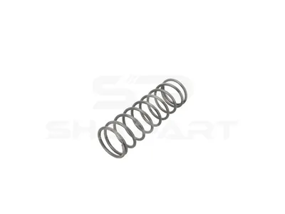 1.00146 Return spring