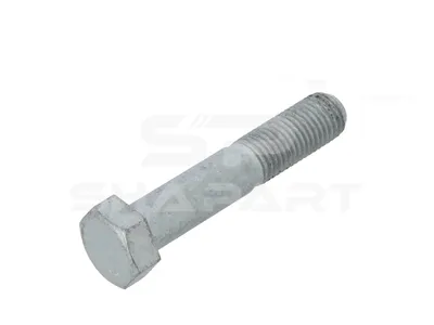 1.00169 Screw, M16 x 2, ISO 4014