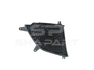 1.00283 Radiator mesh, right