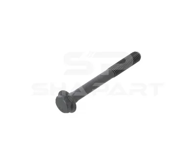 1.00464 Screw, oil cooler, M8, Lu: 70 mm