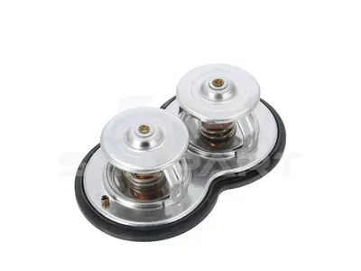 1.00753 Thermostat