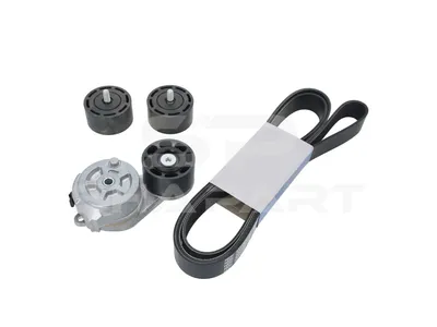 1.00806 Belt tensioner kit, reinforced version