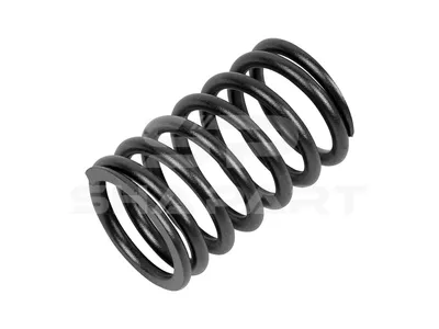 1.10004 Valve spring, intake and exhaust, outer, D: 41.8 mm, L: 66 mm