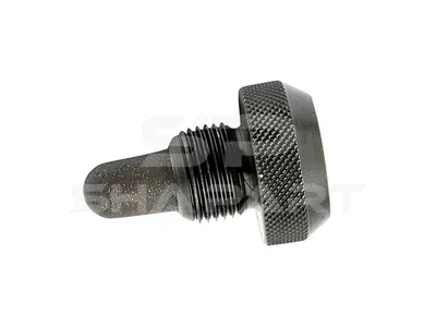 1.10006 Oil drain plug, M24 x 2, SW: 19, L: 57 mm