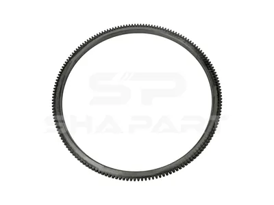 1.10079 Ring gear, d: 445 mm, D: 495 mm, 163 teeth