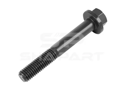 1.10142 Screw, M10, LTh: 27 mm, Lu: 70 mm, SW: 14, 10.9