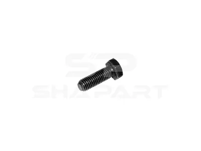 1.10144 Screw, M10, L: 30 mm