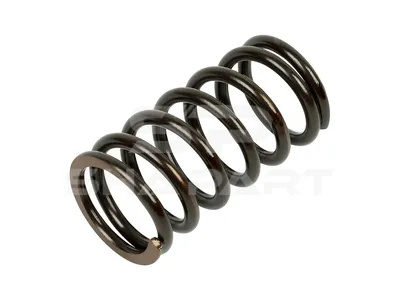 1.10317 Valve spring, exhaust, outer, D: 40.3 mm, L: 77 mm