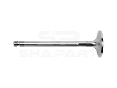 1.10523 Intake valve, D1: 11 mm, D2: 51 mm, L: 162.5 mm, α: 20 °