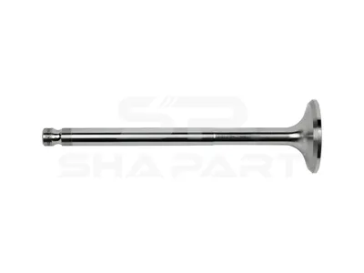 1.10524 Exhaust valve, D1: 11 mm, D2: 44 mm, L: 162.5 mm, α: 45 °