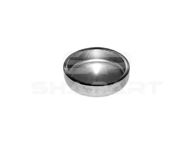 1.10545 Expansion plug, D: 25 mm