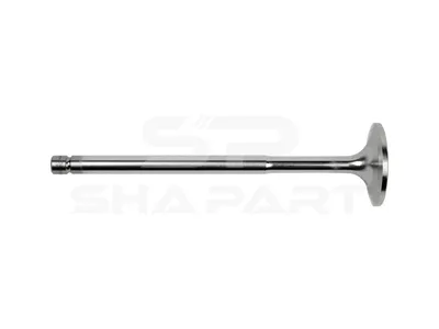 1.10760 Intake valve, D1: 10 mm, D2: 44 mm, L: 171.4 mm, α: 20 °