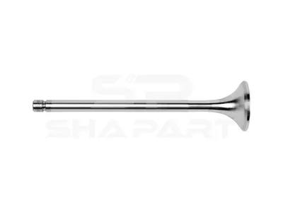 1.10761 Exhaust valve, D1: 10 mm, D2: 41 mm, L: 171.5 mm, α: 46 °