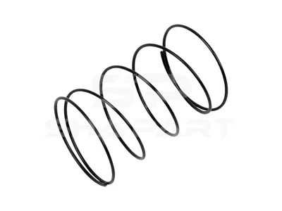 1.10779 Spring, crankcase ventilation, D: 31 mm, L: 43 mm