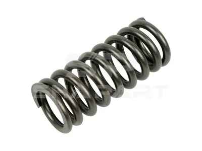 1.10780 Valve spring, exhaust, outer, D: 36 mm, L: 85 mm